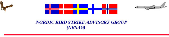 NBSAG%20logo.jpg